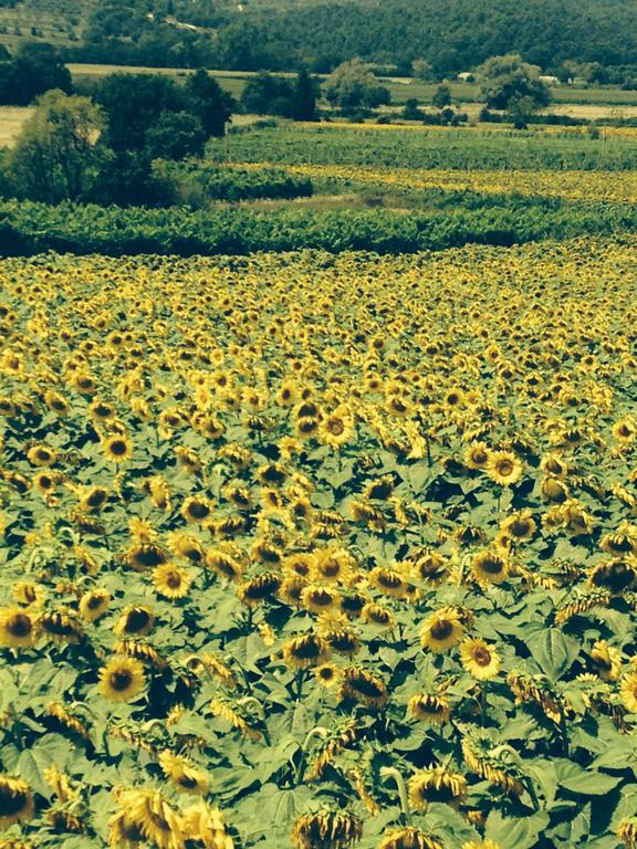 Tre Girasoli Monte San Savino Chambre photo