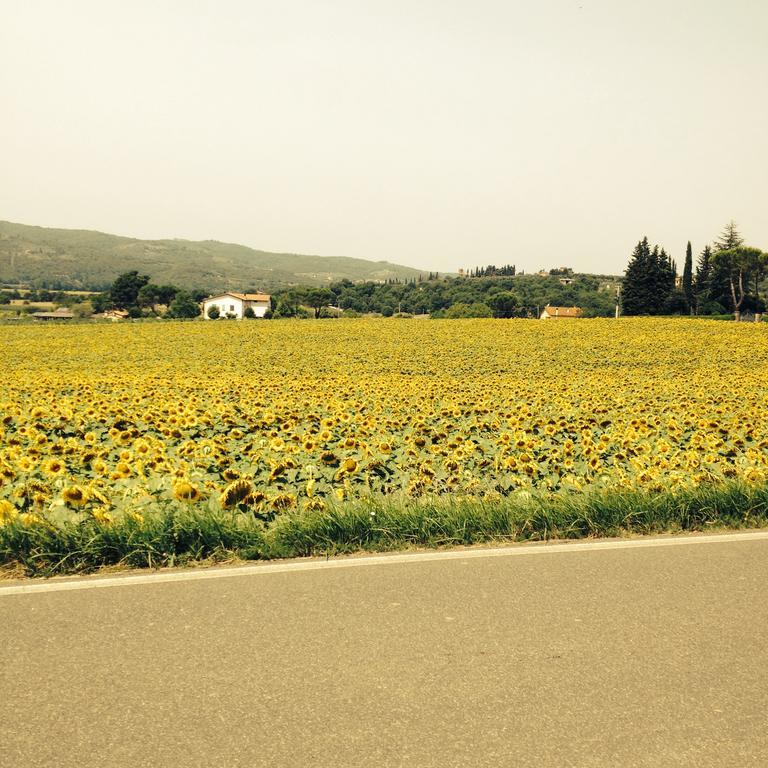 Tre Girasoli Monte San Savino Extérieur photo